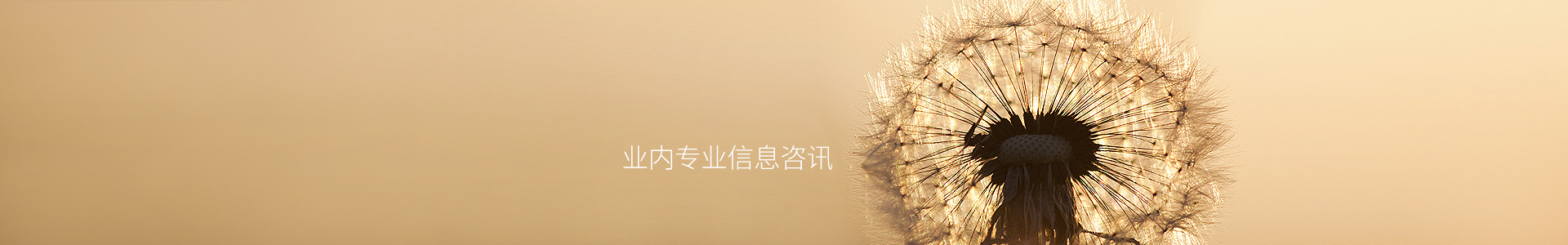 台岭乡